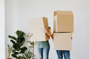 Imagen con cajas y plantas durante una mudanza