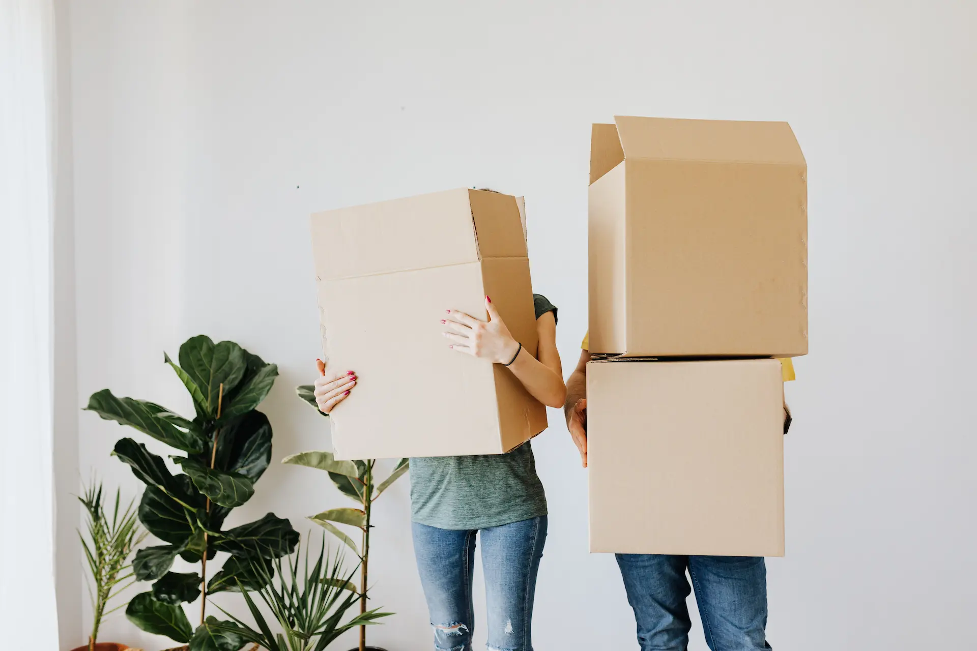 Imagen con cajas y plantas durante una mudanza
